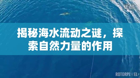 揭秘海水流動(dòng)之謎，探索自然力量的作用