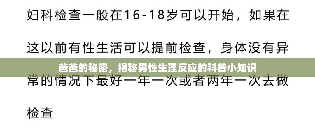 爸爸的秘密，揭秘男性生理反應(yīng)的科普小知識(shí)