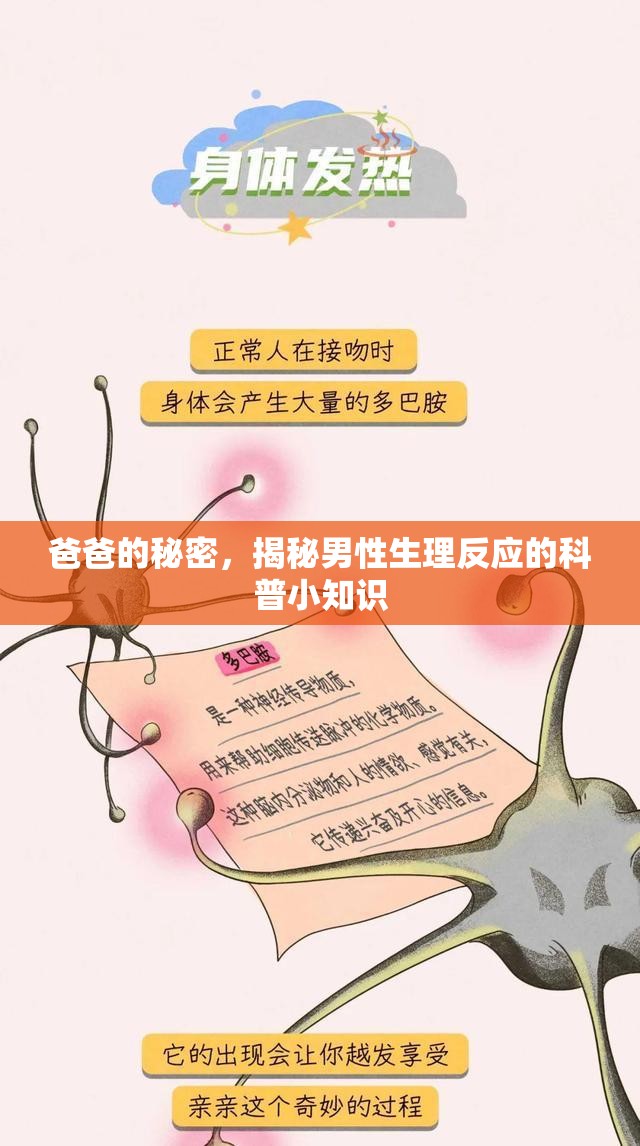 爸爸的秘密，揭秘男性生理反應(yīng)的科普小知識(shí)