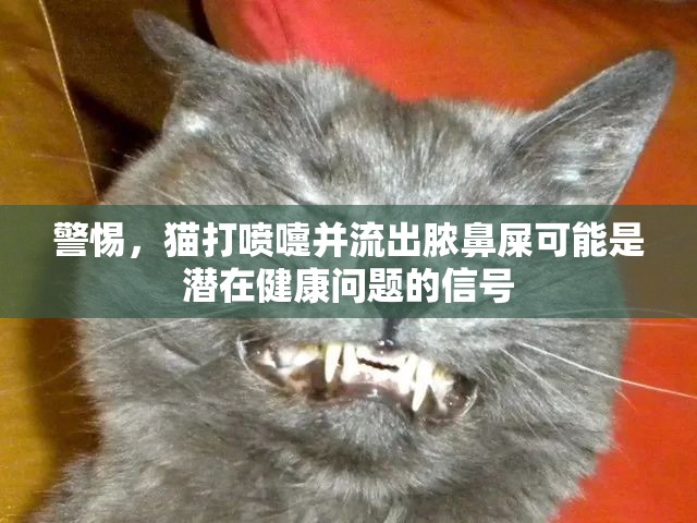 警惕，貓打噴嚏并流出膿鼻屎可能是潛在健康問題的信號