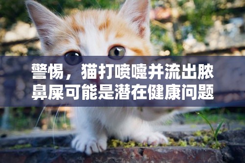 警惕，貓打噴嚏并流出膿鼻屎可能是潛在健康問題的信號