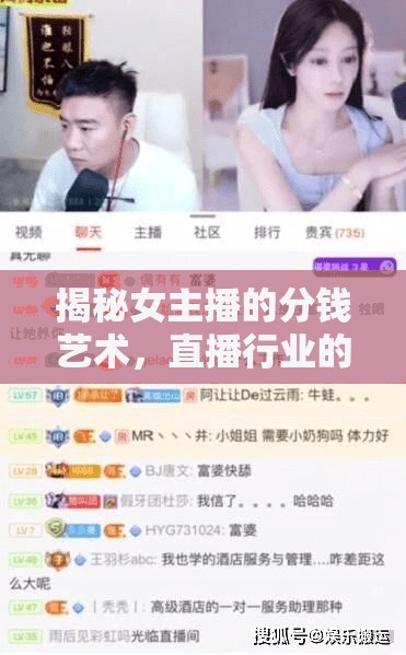 揭秘女主播的分錢(qián)藝術(shù)，直播行業(yè)的收入分配與策略
