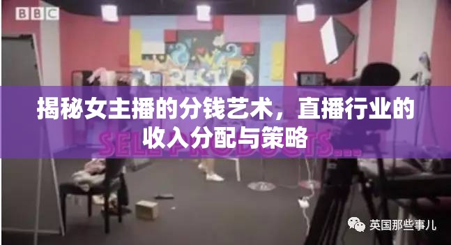 揭秘女主播的分錢(qián)藝術(shù)，直播行業(yè)的收入分配與策略