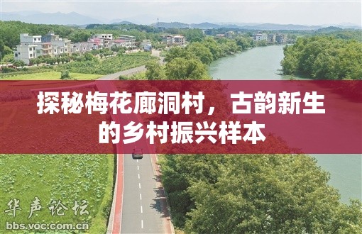 探秘梅花廊洞村，古韻新生的鄉(xiāng)村振興樣本