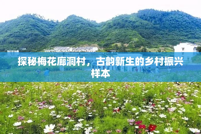 探秘梅花廊洞村，古韻新生的鄉(xiāng)村振興樣本