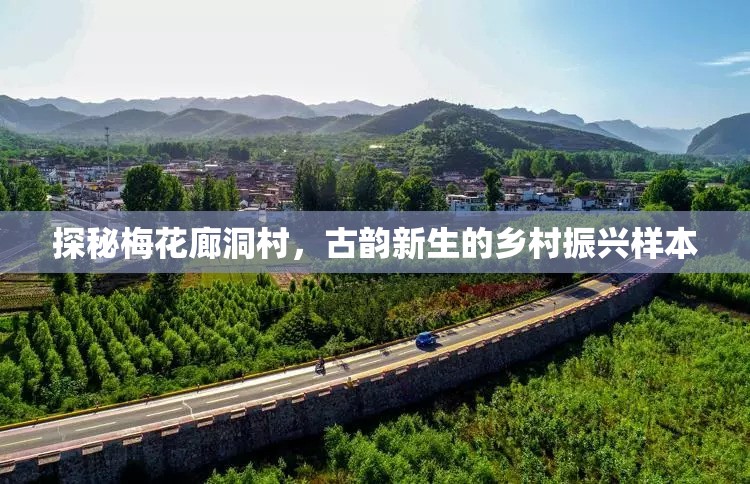 探秘梅花廊洞村，古韻新生的鄉(xiāng)村振興樣本