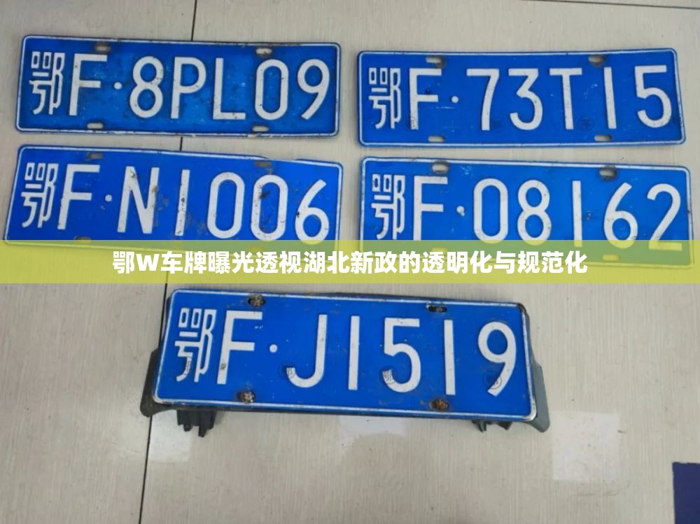 鄂W車牌曝光透視湖北新政的透明化與規(guī)范化