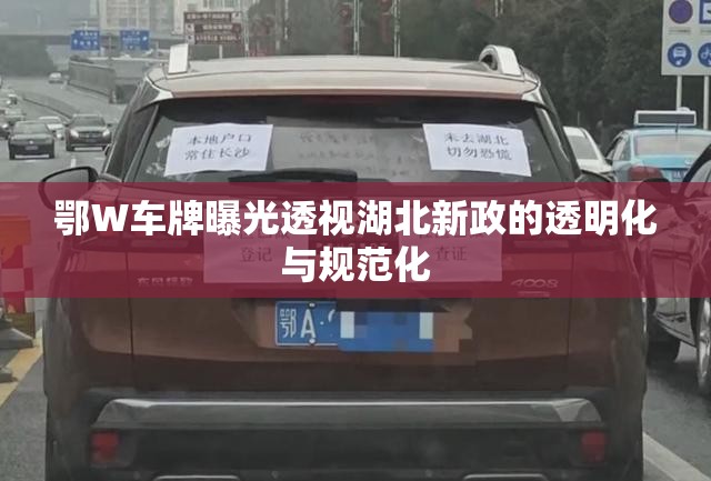 鄂W車牌曝光透視湖北新政的透明化與規(guī)范化