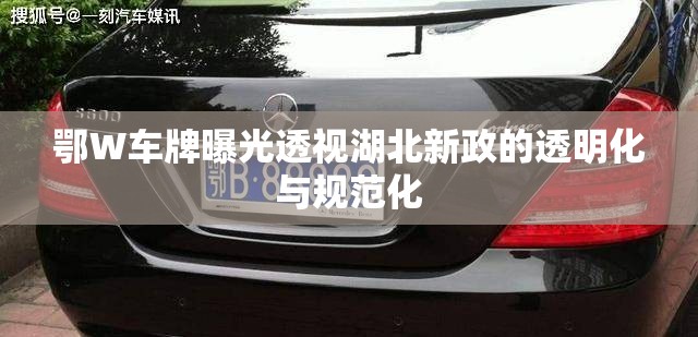 鄂W車牌曝光透視湖北新政的透明化與規(guī)范化