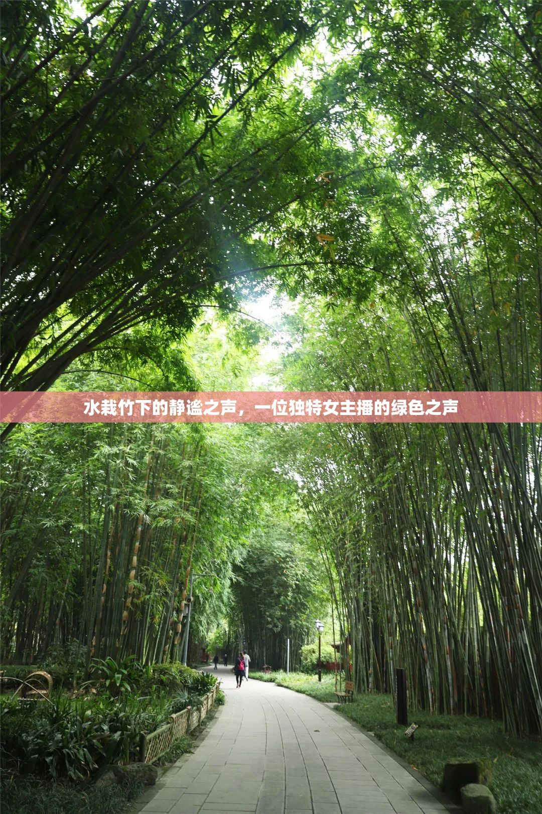 水栽竹下的靜謐之聲，一位獨特女主播的綠色之聲
