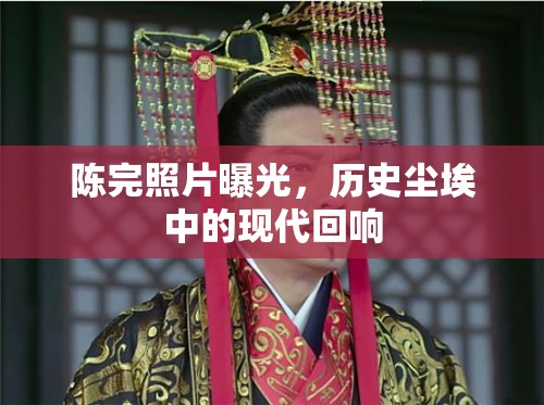 陳完照片曝光，歷史塵埃中的現(xiàn)代回響