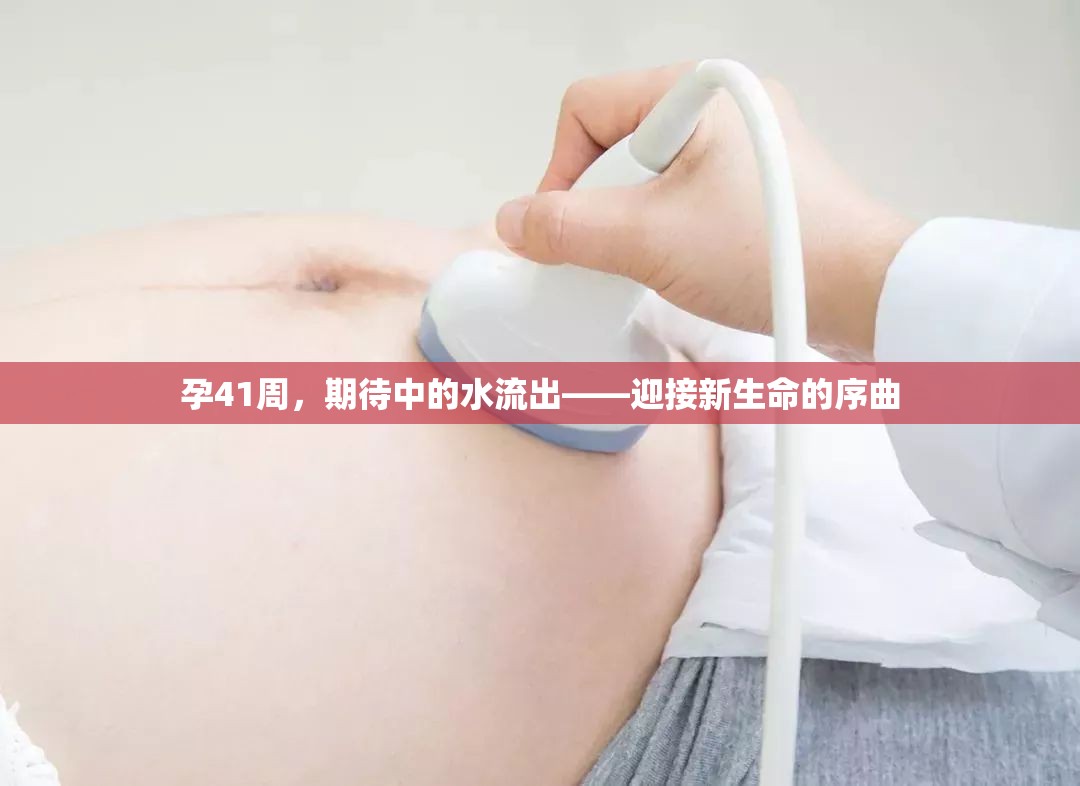 孕41周，期待中的水流出——迎接新生命的序曲