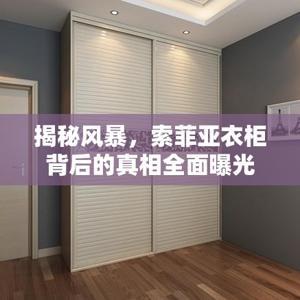 揭秘風(fēng)暴，索菲亞衣柜背后的真相全面曝光
