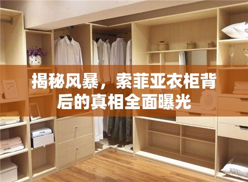 揭秘風(fēng)暴，索菲亞衣柜背后的真相全面曝光