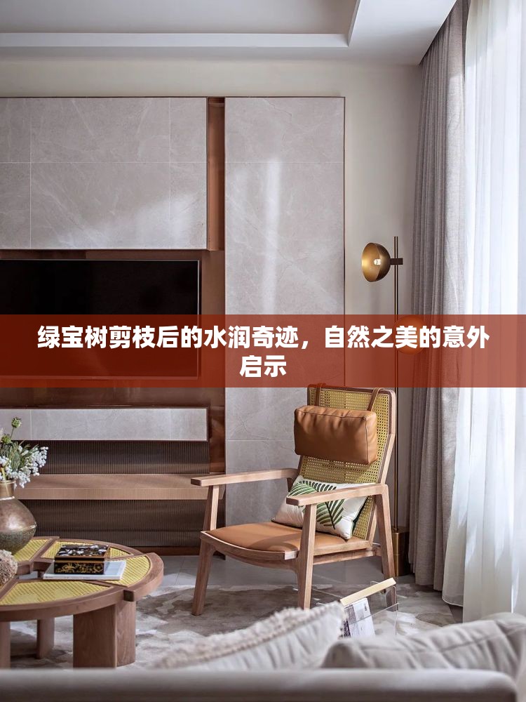 綠寶樹剪枝后的水潤奇跡，自然之美的意外啟示