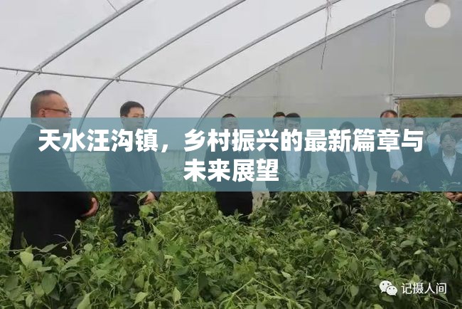 天水汪溝鎮(zhèn)，鄉(xiāng)村振興的最新篇章與未來展望