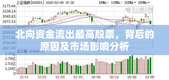 北向資金流出最高股票，背后的原因及市場影響分析