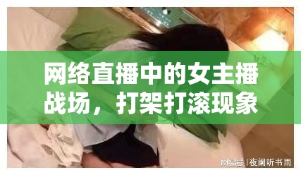 網(wǎng)絡(luò)直播中的女主播戰(zhàn)場(chǎng)，打架打滾現(xiàn)象探析