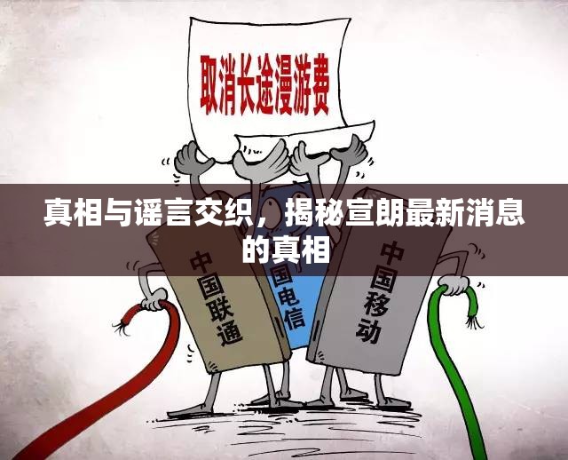 真相與謠言交織，揭秘宣朗最新消息的真相