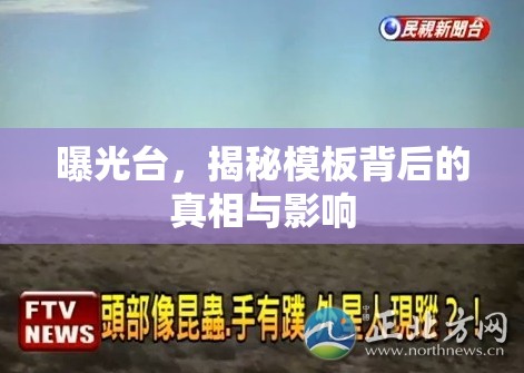 曝光臺(tái)，揭秘模板背后的真相與影響