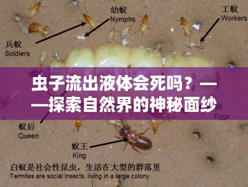 蟲子流出液體會死嗎？——探索自然界的神秘面紗