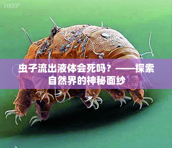 蟲子流出液體會死嗎？——探索自然界的神秘面紗
