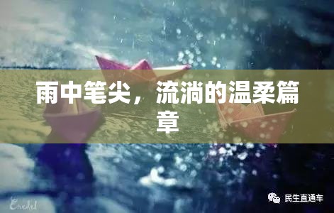 雨中筆尖，流淌的溫柔篇章