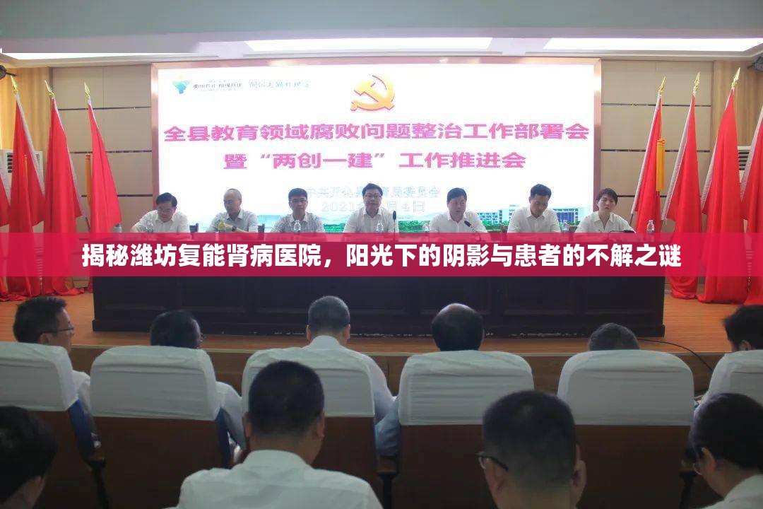 揭秘濰坊復(fù)能腎病醫(yī)院，陽光下的陰影與患者的不解之謎