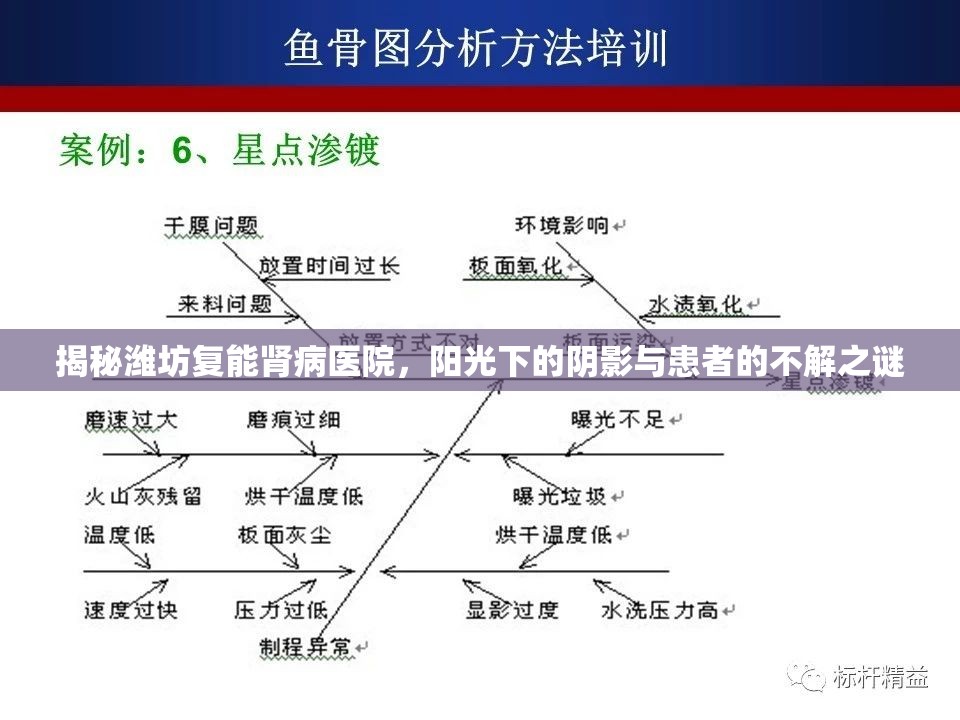 揭秘濰坊復(fù)能腎病醫(yī)院，陽光下的陰影與患者的不解之謎