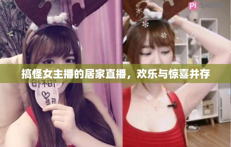 搞怪女主播的居家直播，歡樂與驚喜并存