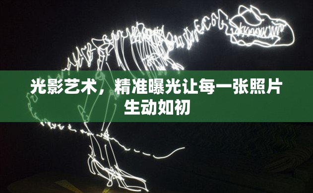 光影藝術(shù)，精準曝光讓每一張照片生動如初