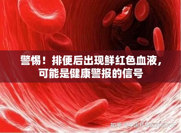 警惕！排便后出現(xiàn)鮮紅色血液，可能是健康警報的信號