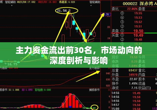 主力資金流出前30名，市場(chǎng)動(dòng)向的深度剖析與影響