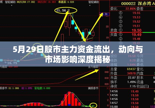 5月29日股市主力資金流出，動向與市場影響深度揭秘