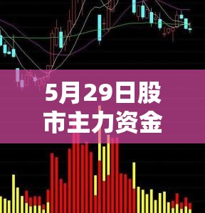 5月29日股市主力資金流出，動向與市場影響深度揭秘