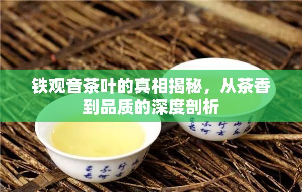 鐵觀音茶葉的真相揭秘，從茶香到品質(zhì)的深度剖析