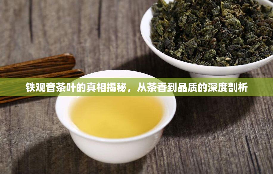 鐵觀音茶葉的真相揭秘，從茶香到品質(zhì)的深度剖析