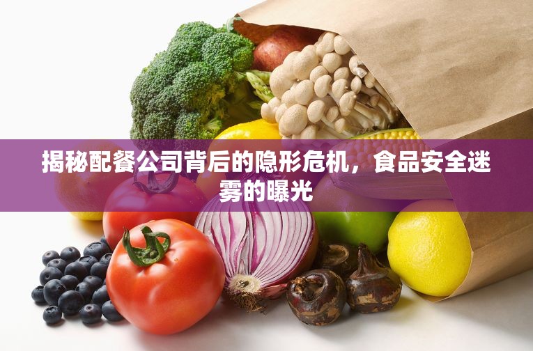 揭秘配餐公司背后的隱形危機(jī)，食品安全迷霧的曝光
