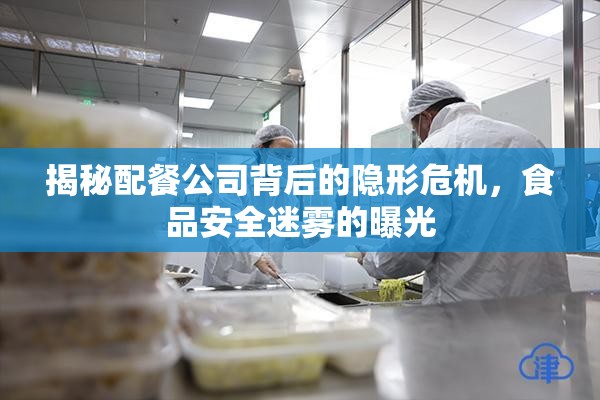 揭秘配餐公司背后的隱形危機(jī)，食品安全迷霧的曝光