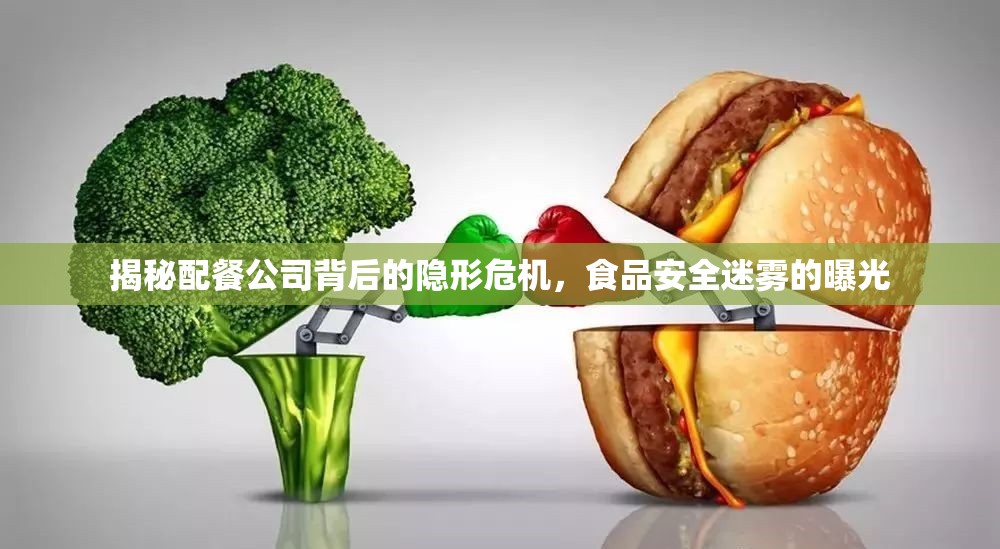 揭秘配餐公司背后的隱形危機(jī)，食品安全迷霧的曝光