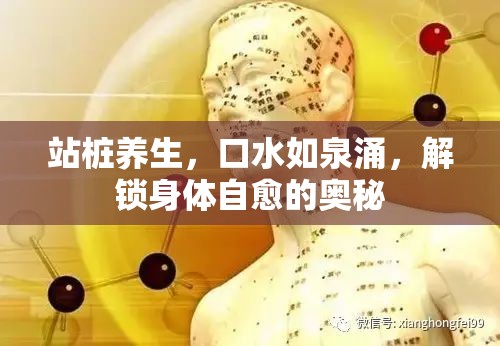 站樁養(yǎng)生，口水如泉涌，解鎖身體自愈的奧秘