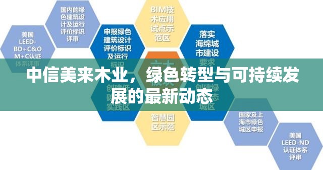 中信美來木業(yè)，綠色轉(zhuǎn)型與可持續(xù)發(fā)展的最新動(dòng)態(tài)