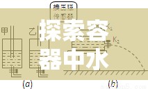 探索容器中水流出速度的奧秘，從物理原理到實(shí)際應(yīng)用