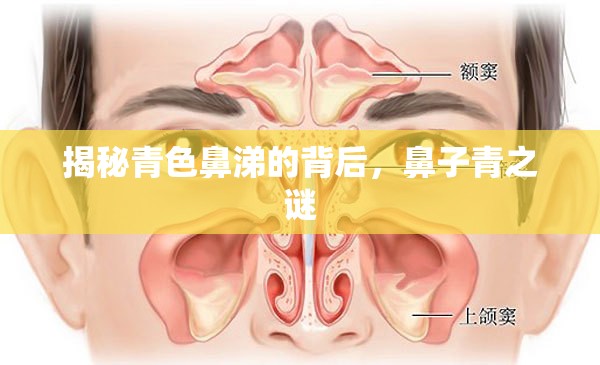 揭秘青色鼻涕的背后，鼻子青之謎