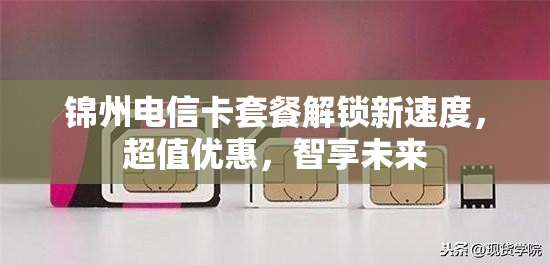 錦州電信卡套餐解鎖新速度，超值優(yōu)惠，智享未來