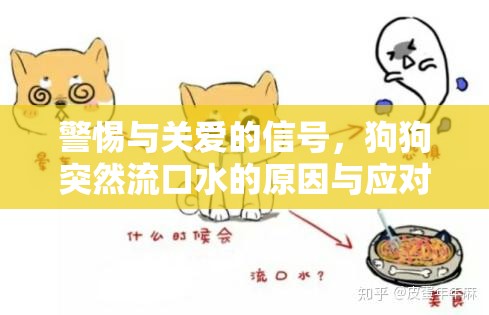 警惕與關愛的信號，狗狗突然流口水的原因與應對措施
