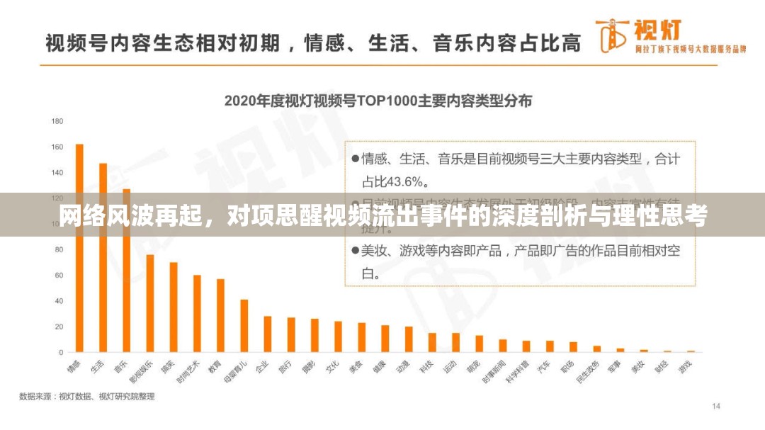 網(wǎng)絡(luò)風(fēng)波再起，對(duì)項(xiàng)思醒視頻流出事件的深度剖析與理性思考