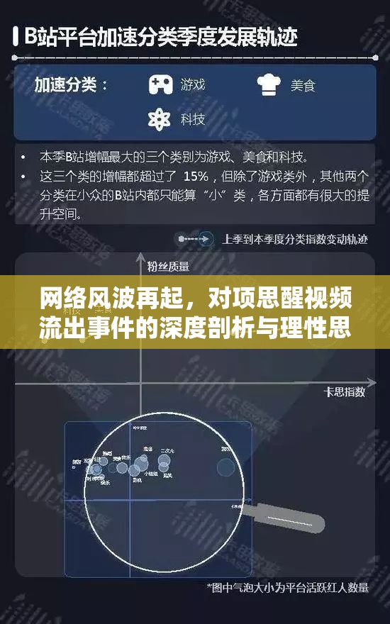 網(wǎng)絡(luò)風(fēng)波再起，對(duì)項(xiàng)思醒視頻流出事件的深度剖析與理性思考