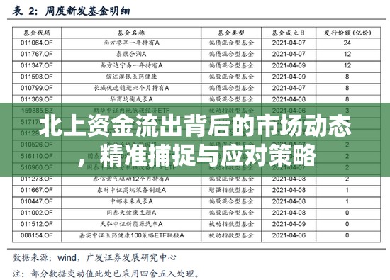 北上資金流出背后的市場動態(tài)，精準捕捉與應(yīng)對策略