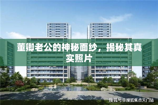 董卿老公的神秘面紗，揭秘其真實(shí)照片
